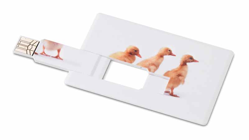 CHIAVETTA USB FORMA DI CARTA DI CREDITO 2GB